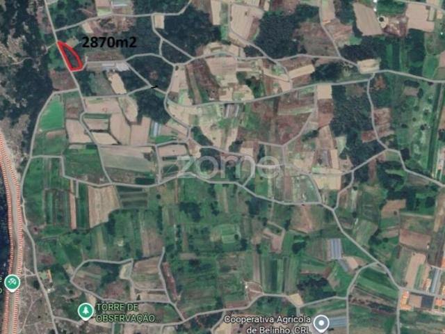 Esposende Esposende 96915597