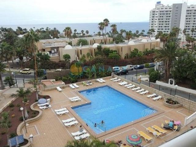 Estudio moderno en pleno centro de las Playa Las Américas