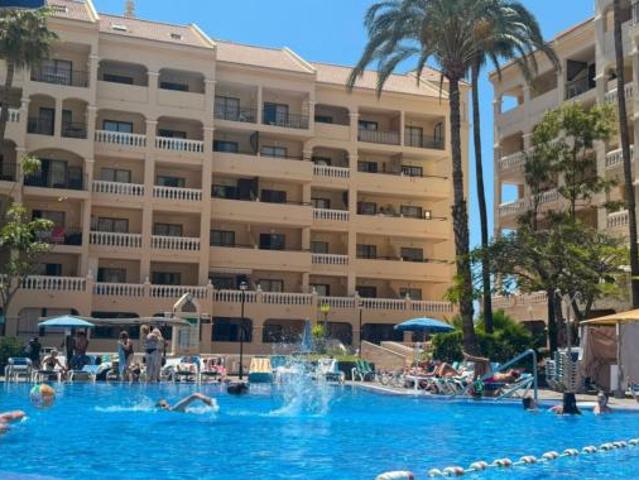 Estudio Alquiler Arona, Los Cristianos