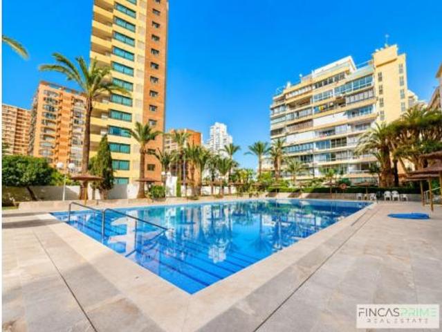 Estudio Alquiler Benidorm, Racó de l'Oix