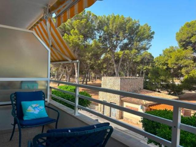Estudio Alquiler Calvià, Santa Ponça