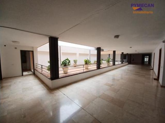 Estudio Alquiler Puerto de la Cruz, El Botánico
