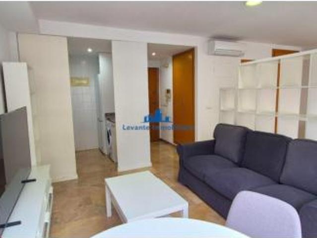Estudio Alquiler València Capital, Albors