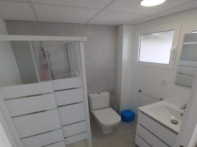 ESTUDIO CERCA UCAM