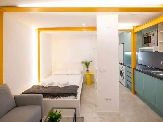 Estudio completamente amueblado en Madrid