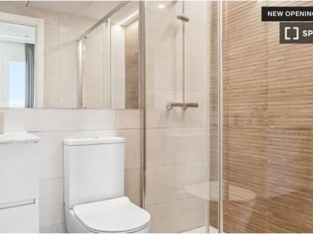 Estudio completo en Madrid