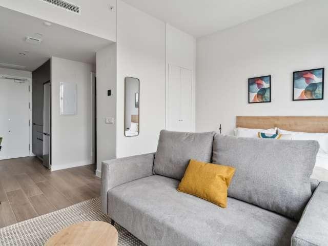 Estudio con acceso gratuito a gimnasio y piscina en Vallecas
