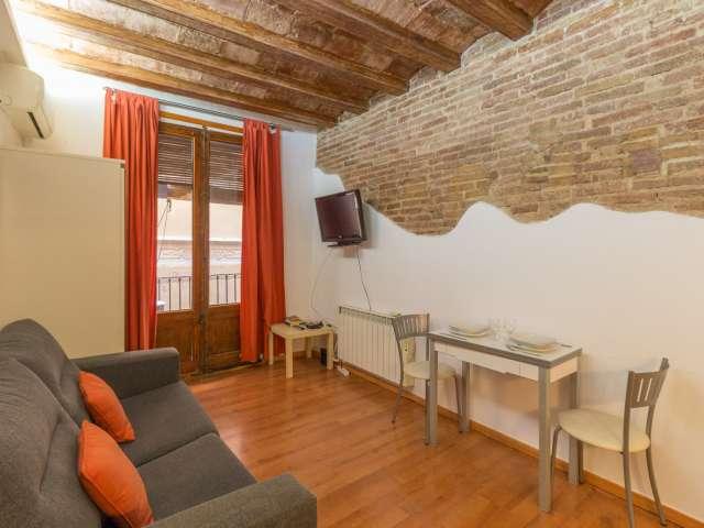 Estudio con aire acondicionado en alquiler en Ciutad Vella, Barcelona