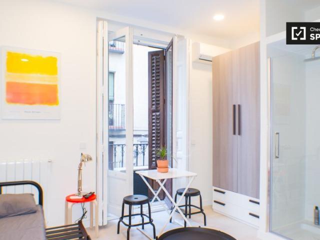 Estudio con aire acondicionado en alquiler en Malasaña, Madrid