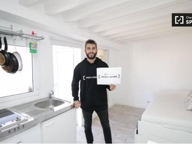 Estudio con aire acondicionado y gran terraza en alquiler en El Born