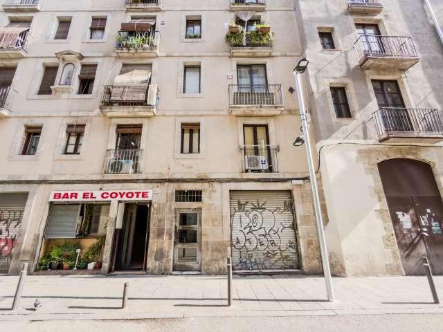Estudio en alquiler, El Raval, Barcelona