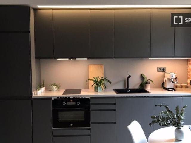 Estudio en alquiler, Embajadores, Madrid