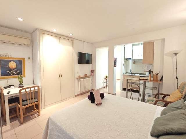 Estudio en alquiler en Madrid