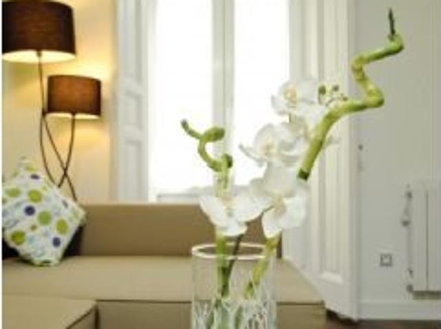 Estudio en alquiler en Madrid