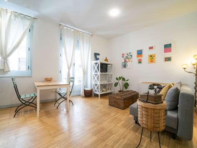 Estudio en alquiler en Madrid Centro