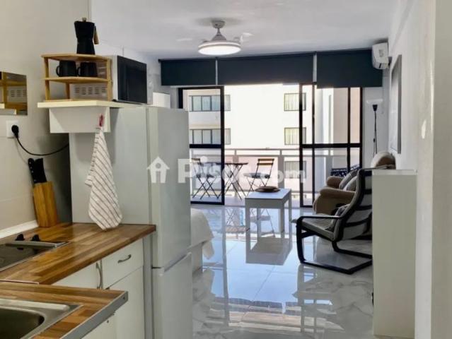 Estudio en alquiler en Montemar