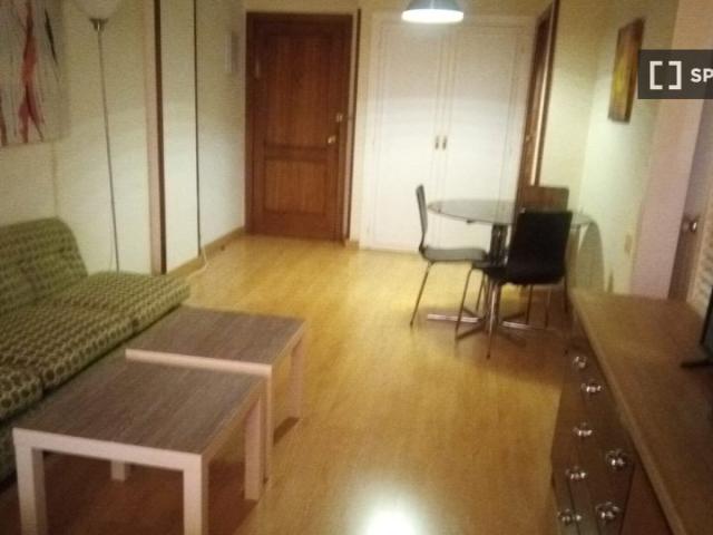 Estudio en alquiler en Nueva España, Madrid