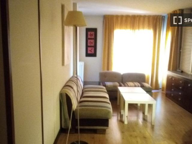 Estudio en alquiler en Nueva España, Madrid