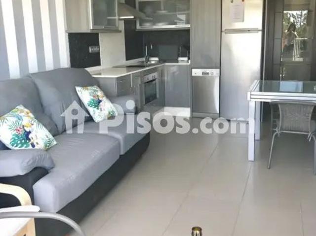 Estudio en alquiler en Avenida Catalanet, 1
