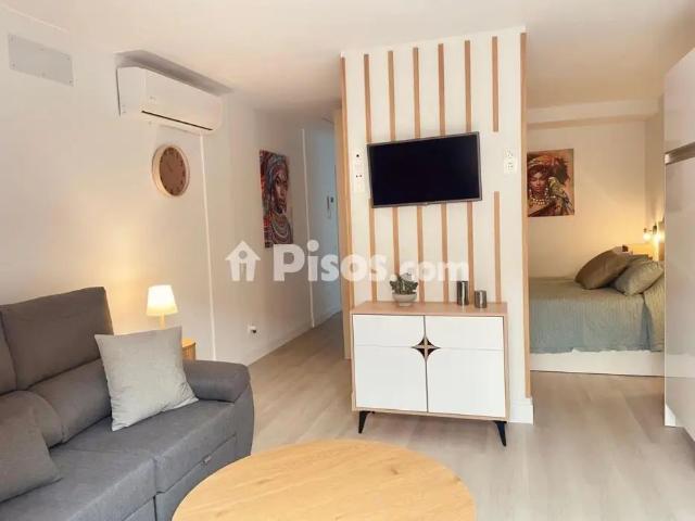 Estudio en alquiler en Avenida Alcalde Paco Gonzalez