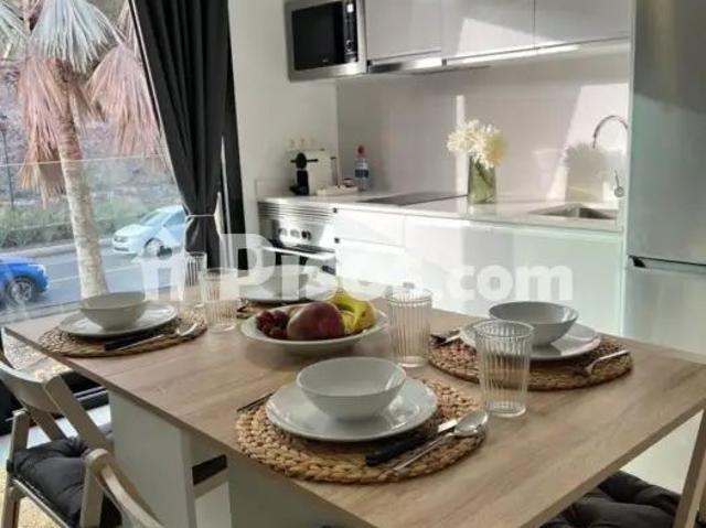 Estudio en alquiler en Avenida Alcalde Paco Gonzalez