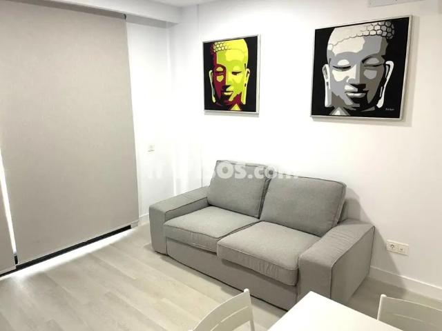 Estudio en alquiler en Avenida Alcalde Paco Gonzalez