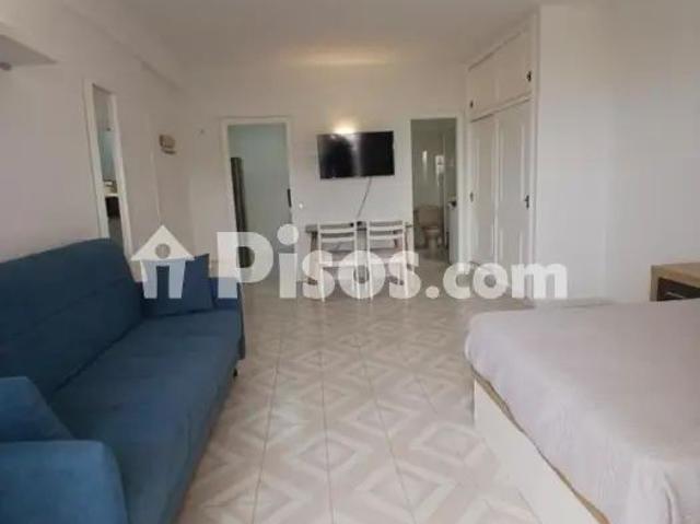 Estudio en alquiler en Avenida de Los Playeros
