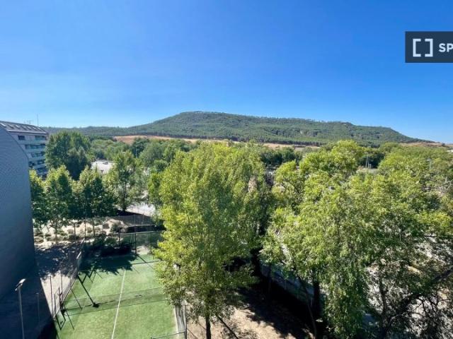 Estudio en alquiler en Alcalá de Henares