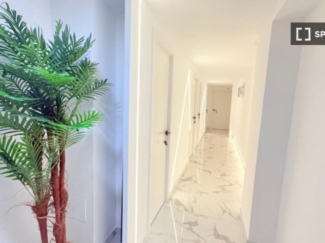 Estudio en alquiler en Alicante