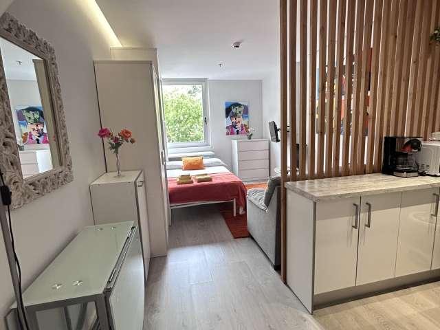 Estudio en alquiler en Almagro, Madrid