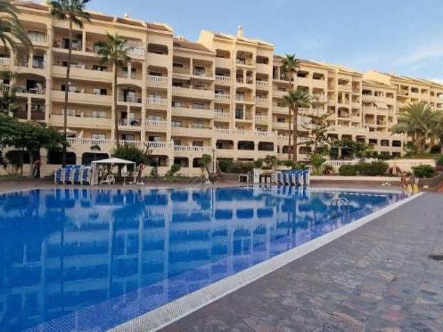 Estudio en alquiler en Arona, Los Cristianos