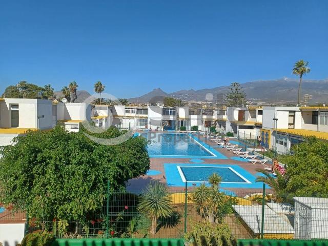 Estudio en alquiler en Arona Tenerife