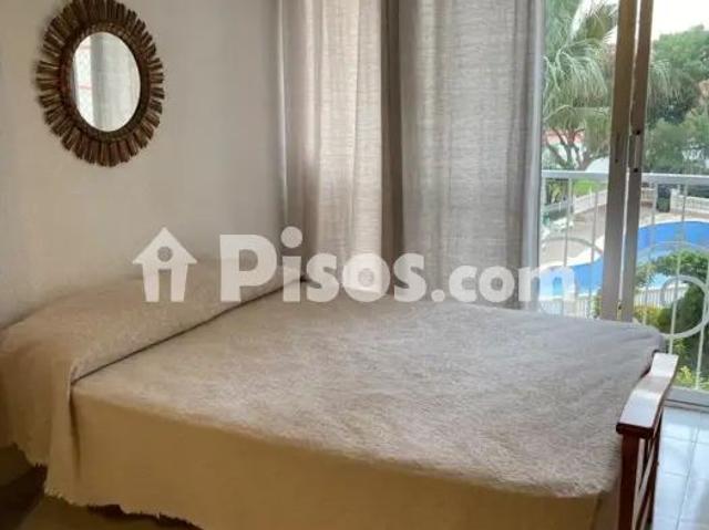 Estudio en alquiler en Benidorm