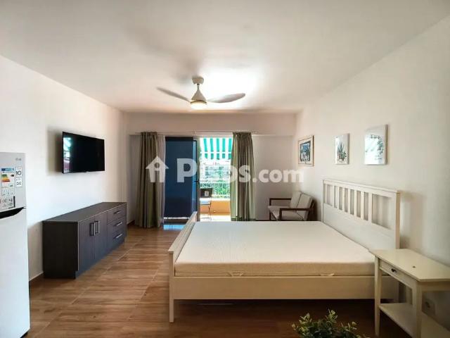 Estudio en alquiler en Calle de la Marina
