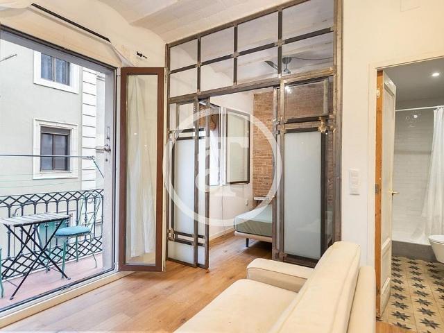 Estudio en alquiler en calle De Sant Miquel, Barcelona, de 30 m² por 1.095