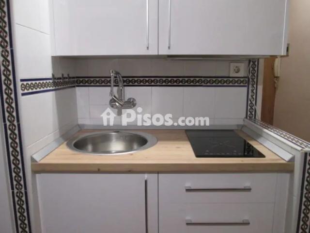 Estudio en alquiler en Calle Doctor Guirao Gea
