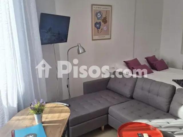 Estudio en alquiler en Calle Jerónimo Hernández, 12