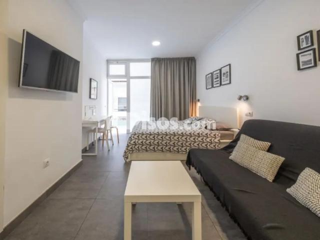Estudio en alquiler en Calle Pedro Castillo Westerling