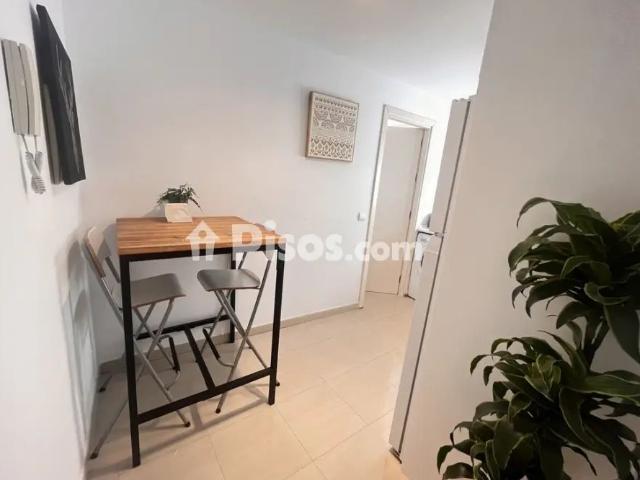 Estudio en alquiler en Casco Antiguo