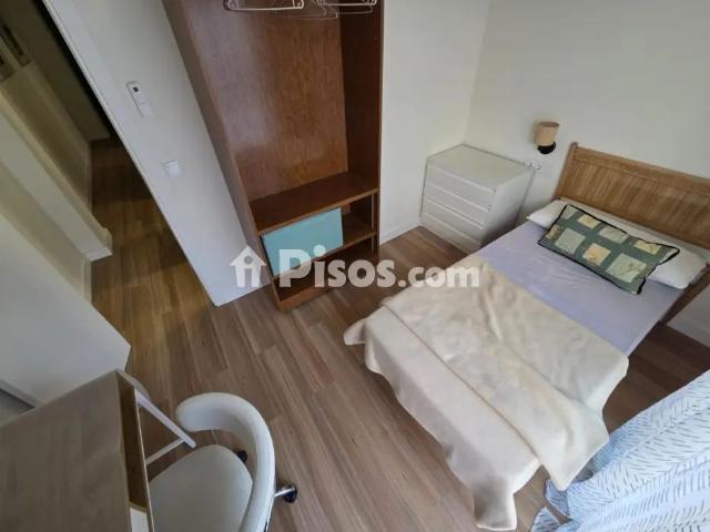 Estudio en alquiler en Carolinas Bajas