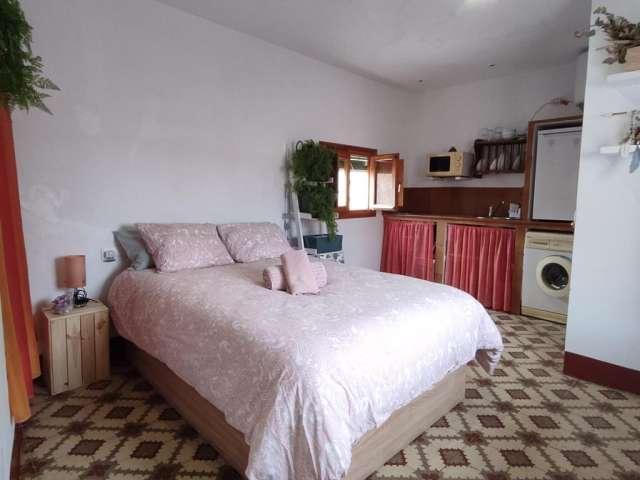 Estudio en alquiler en Centro Histórico, Málaga
