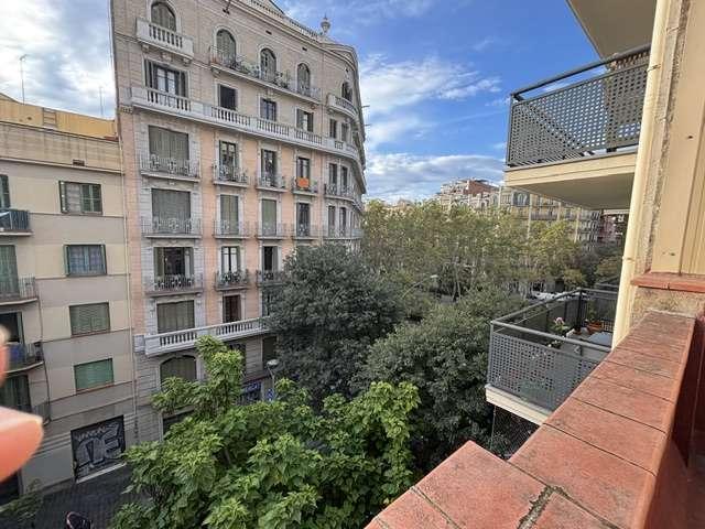 Estudio en alquiler en El Camp d'en Grassot, Barcelona
