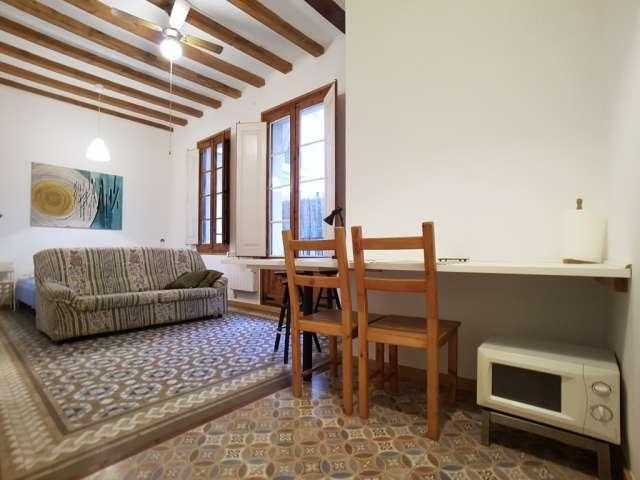 Estudio en alquiler en El Gòtic, Barcelona