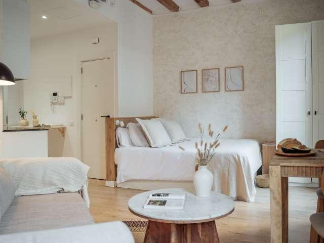 Estudio en alquiler en El Gòtic, Barcelona