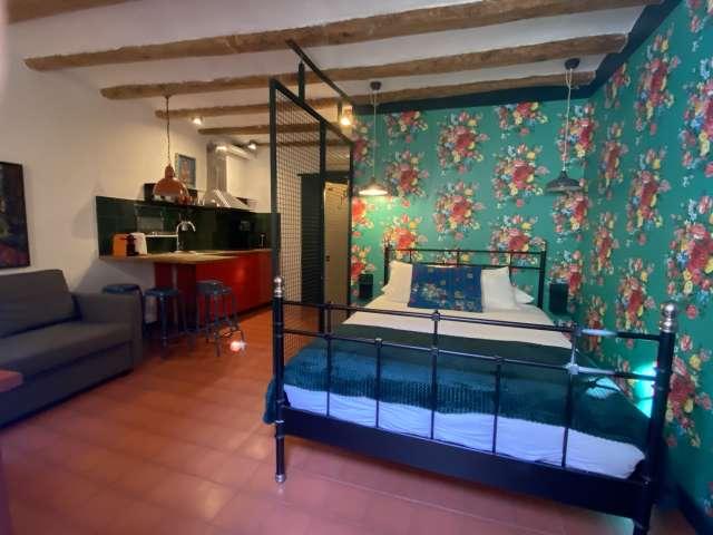 Estudio en alquiler en El Gótico, Barcelona