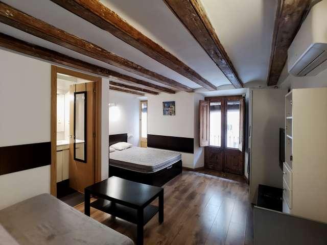 Estudio en alquiler en El Raval, Barcelona