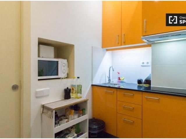 Estudio en alquiler en El Raval, Barcelona