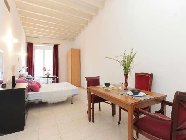 Estudio en alquiler en El Raval, Barcelona