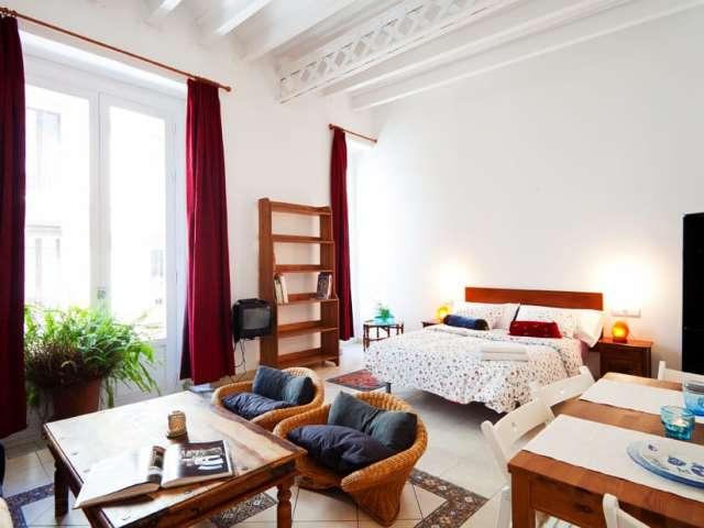 Estudio en alquiler en el Raval, Barcelona