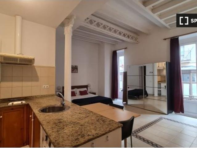 Estudio en alquiler en El Raval, gastos incluidos